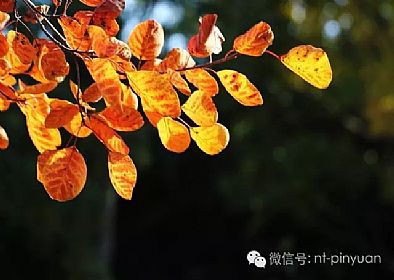 【大事記】輝煌八周年-第三季度員工表彰大會(huì )！
